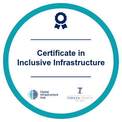 Certificate in Inclusive Infrastructure